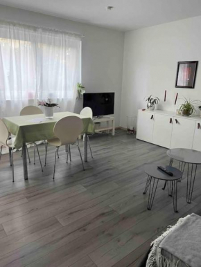 Gemütliche Einliegerwohnung (2 Zimmer), Schönaich